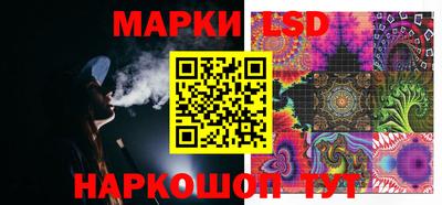 прущие грибы Гатчина