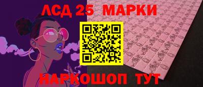 прущие грибы Гатчина
