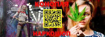 прущие грибы Гатчина