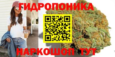 кокс Гай