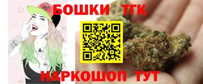 бошки Гагарин