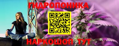 бошки Гагарин