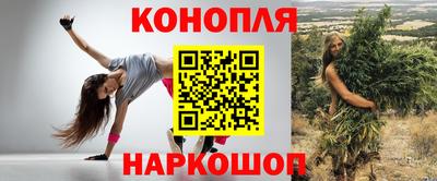 прущие грибы Гатчина