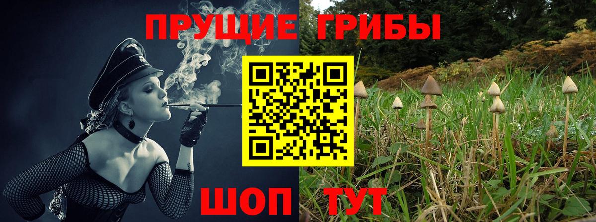 Псилоцибиновые грибы мухоморы  Псилоцибиновые грибы мухоморы  Гудермес  Вход с VPN 