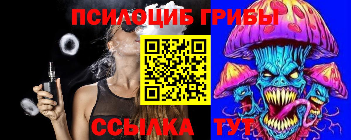 Галлюциногенные грибы Psilocybine cubensis Гудермес